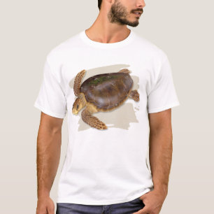 Loggerhead Sea Turtle T-shirt