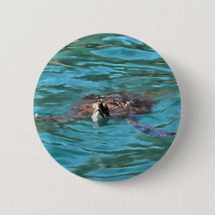 Loggerhead Sea Turtle Wildlife Art 2 Inch Round Button