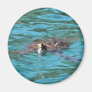 Loggerhead Sea Turtle Wildlife Art Magnet
