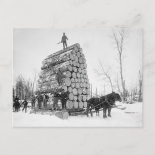 Loggers At Work, 1890 Postcard