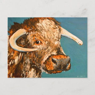 Logie Longhorn 2 Postcard