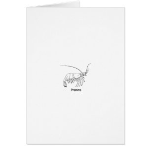 Logo de crevette rose