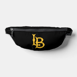 Logo de Long Beach State