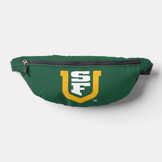 Logo de l'Université de San Francisco SF (Poser)