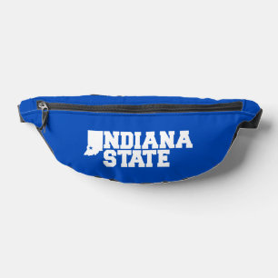 Logo Indiana State