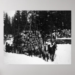 Logs being hauled on a Sleigh by a Team of Horse Poster