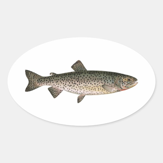 Lohanton Cutthroat Trout Oval Sticker (Front)