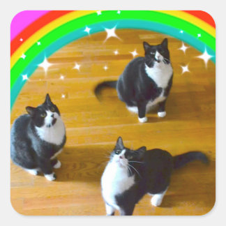 Loin gagne les Stickers TuxedoTrio