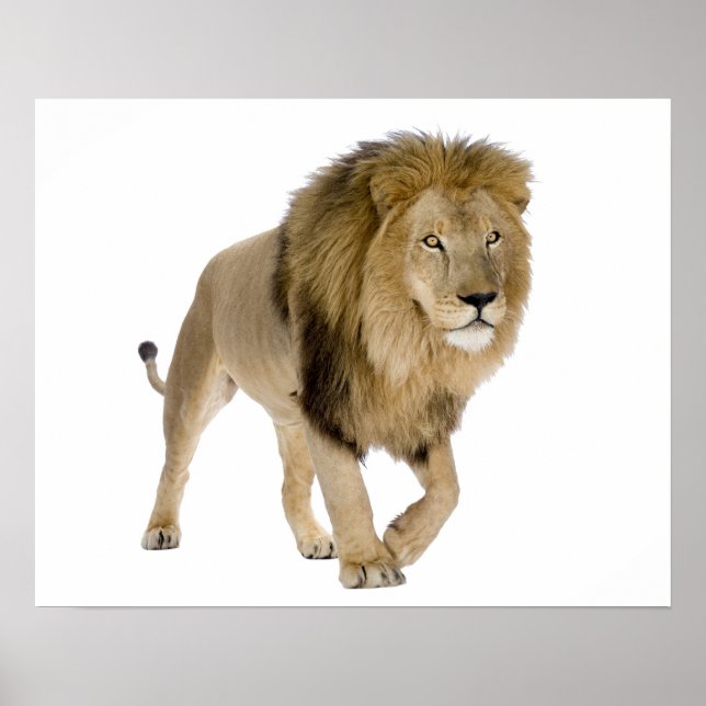 Loin image for poster (Front)