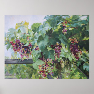Loire Valley Vineyard – French Grape Painting Poster