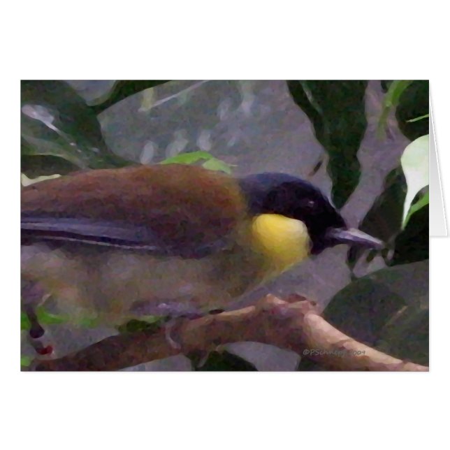 L'oiseau (Devant horizontal)