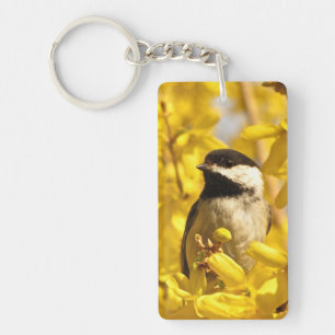 L'oiseau de Chickadee en jaune fleurit le porte -