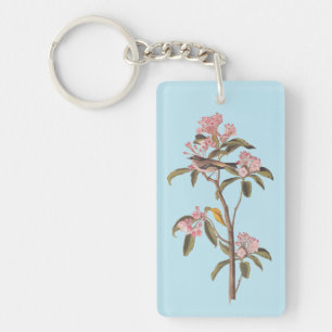L'Oiseau de couvier d'Audubon sur Calico Rose
