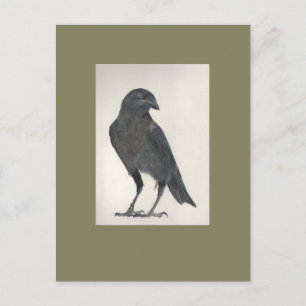 L'oiseau fier postcard