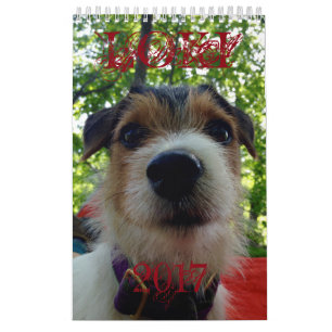 Loki 2017 Calendar
