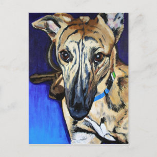 Loki - Lurcher dog Postcard