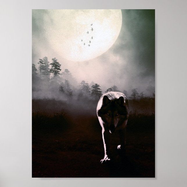 loki wolfdog 2 poster (Front)