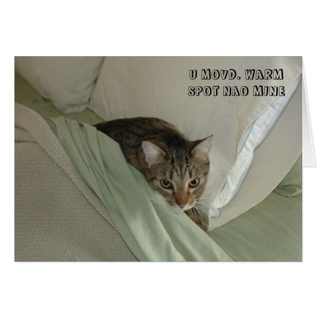 LOL Cat card (Front Horizontal)