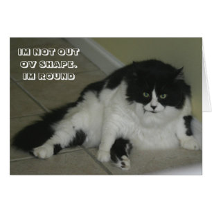 LOL Cat card