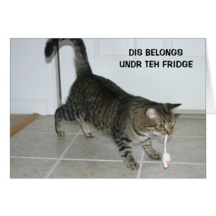 LOL Cat card
