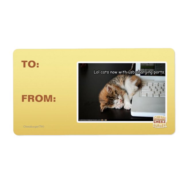 Lol cats with USB (Front)