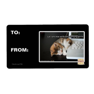 Lol cats with USB