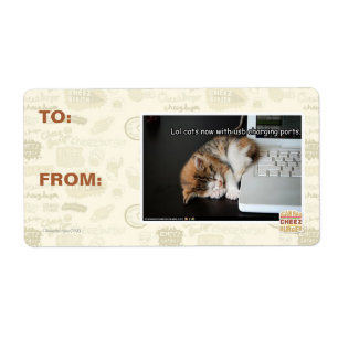 Lol cats with USB