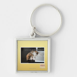 Lol cats with USB Keychain