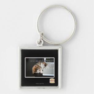 Lol cats with USB Keychain