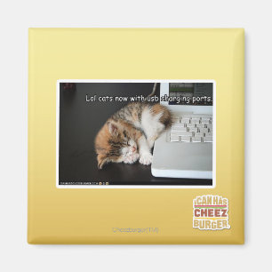 Lol cats with USB Magnet