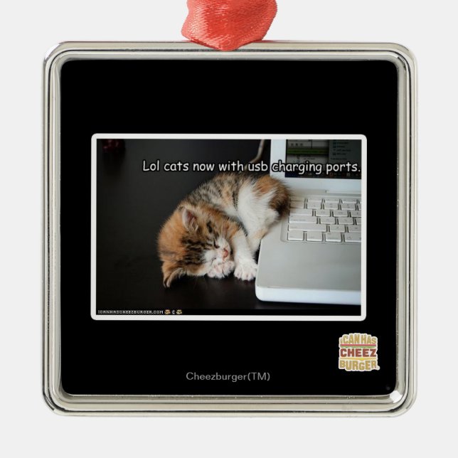 Lol cats with USB Metal Ornament (Front)