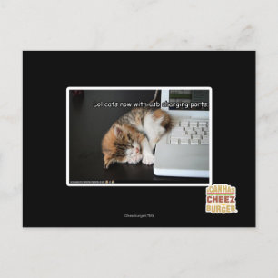 Lol cats with USB Postcard
