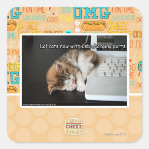 Lol cats with USB Square Sticker