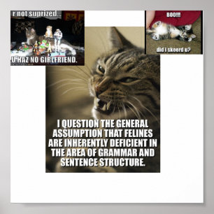 lol-catz-strike-back, boo-did-i-skeerd-u_jpg_th... poster