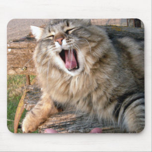 LOL Maine Coon Mouse Pad