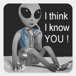 LOL - On addressed mail or beside a picture - Square Sticker