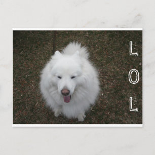 LOL POSTCARD