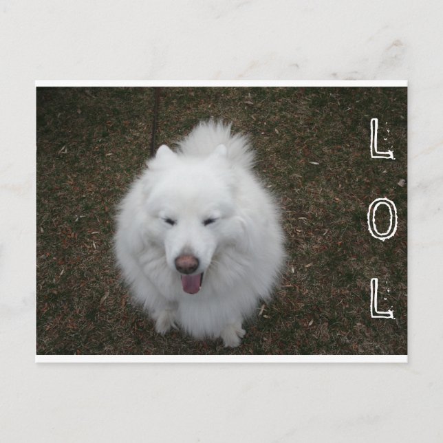 LOL POSTCARD (Front)