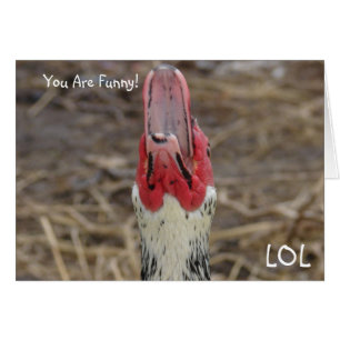 LOL, Tu Es Drôle !