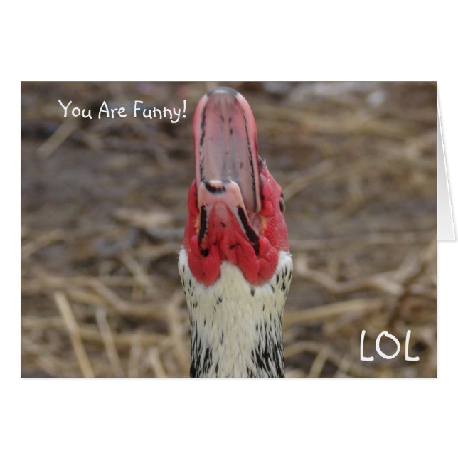 LOL, Tu Es Drôle ! (Devant horizontal)