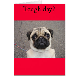 Lola feels your pain