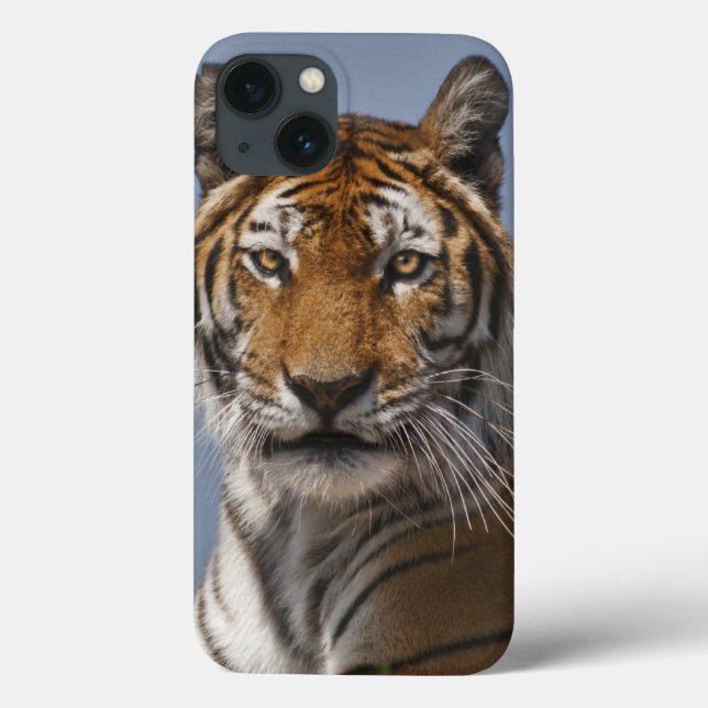 Lola iPad Case (Back)