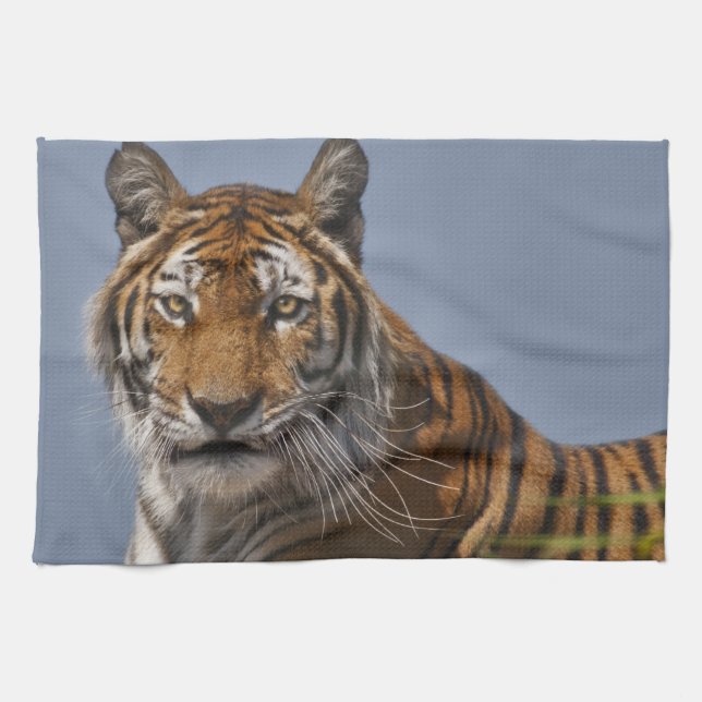 Lola Kitchen Towel (Horizontal)