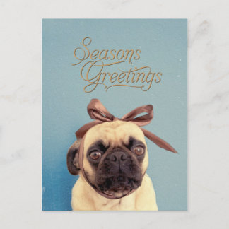 Lola with bow postcard