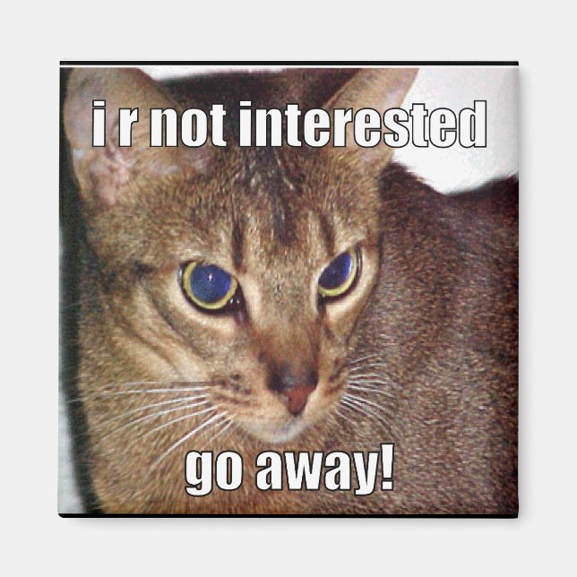 LOLCat 3 Magnet (Front)