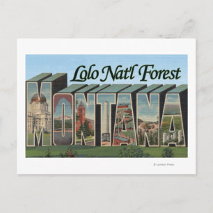 Lolo Nat'l Forest, Montana Postcard