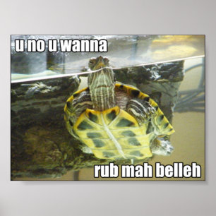 LOLturtle - rub mah belleh Poster