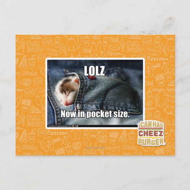 LOLZ Now in Pocket Size Postcard (Front)