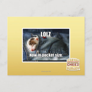 LOLZ Now in Pocket Size Postcard