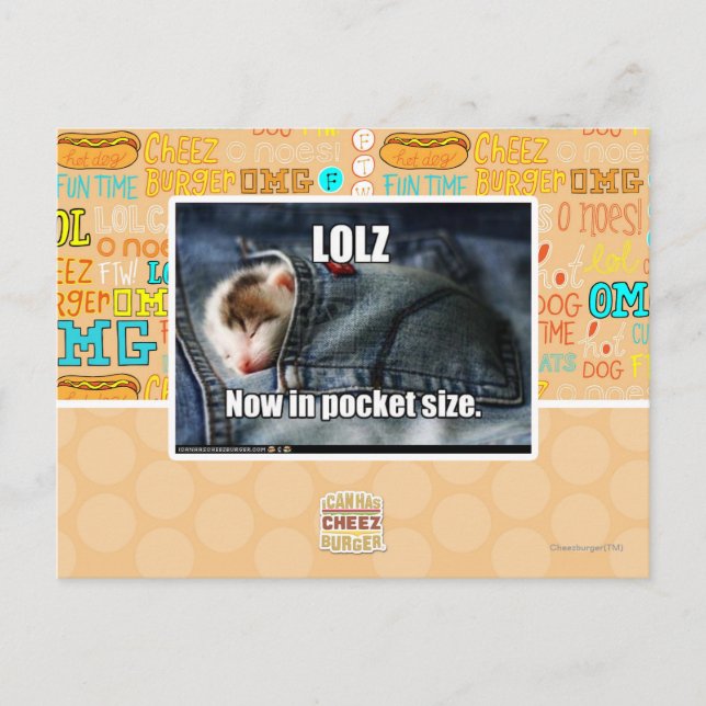 LOLZ Now in Pocket Size Postcard (Front)